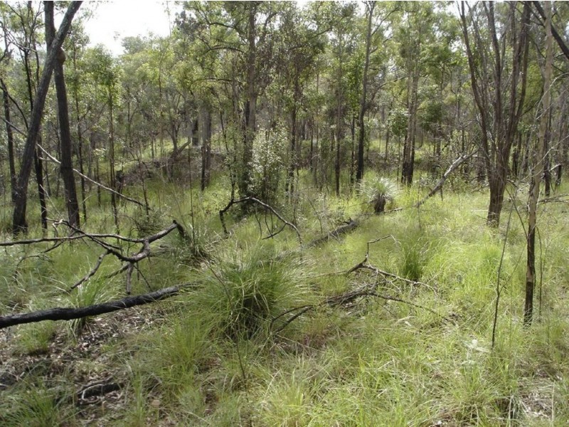 Lot 25 Tableland Road, Mount Maria QLD 4674
