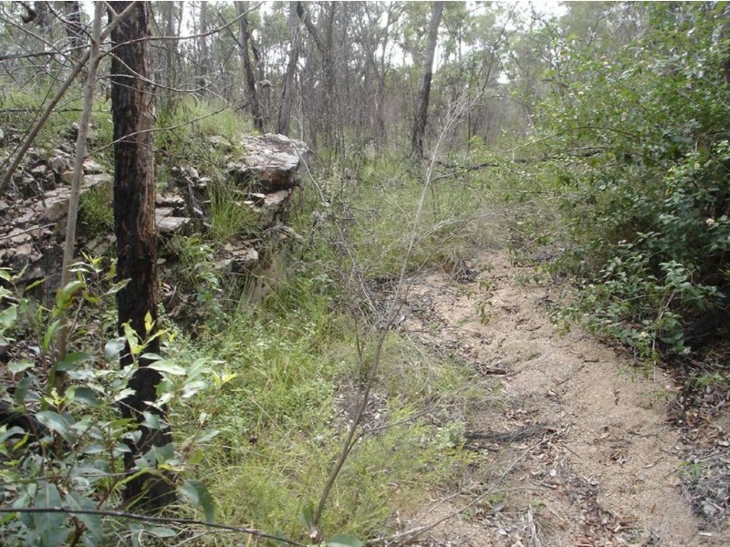 Lot 25 Tableland Road, Mount Maria QLD 4674