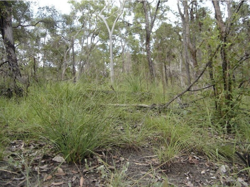 Lot 25 Tableland Road, Mount Maria QLD 4674