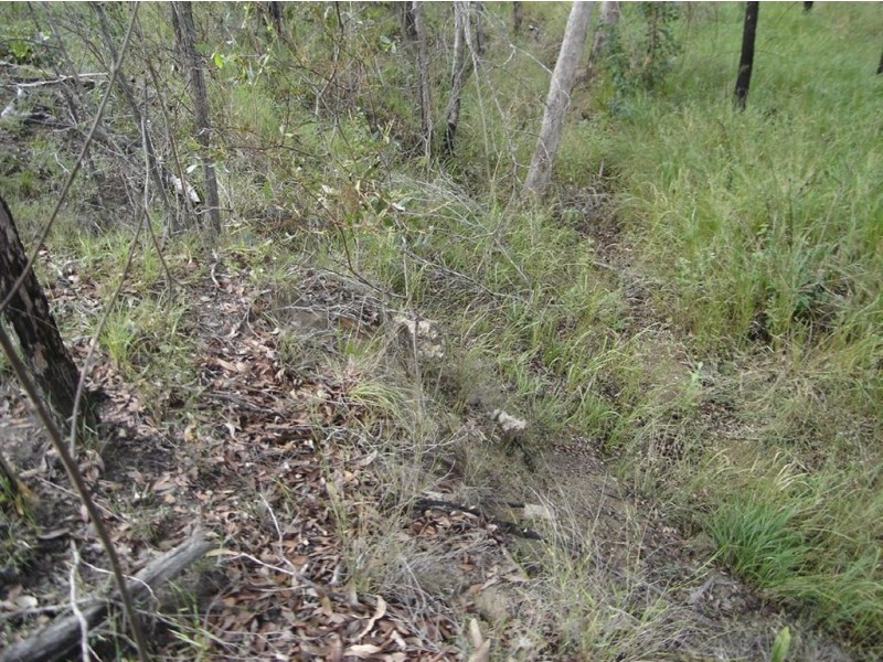 Lot 25 Tableland Road, Mount Maria QLD 4674