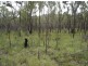 Lot 25 Tableland Road, Mount Maria QLD 4674