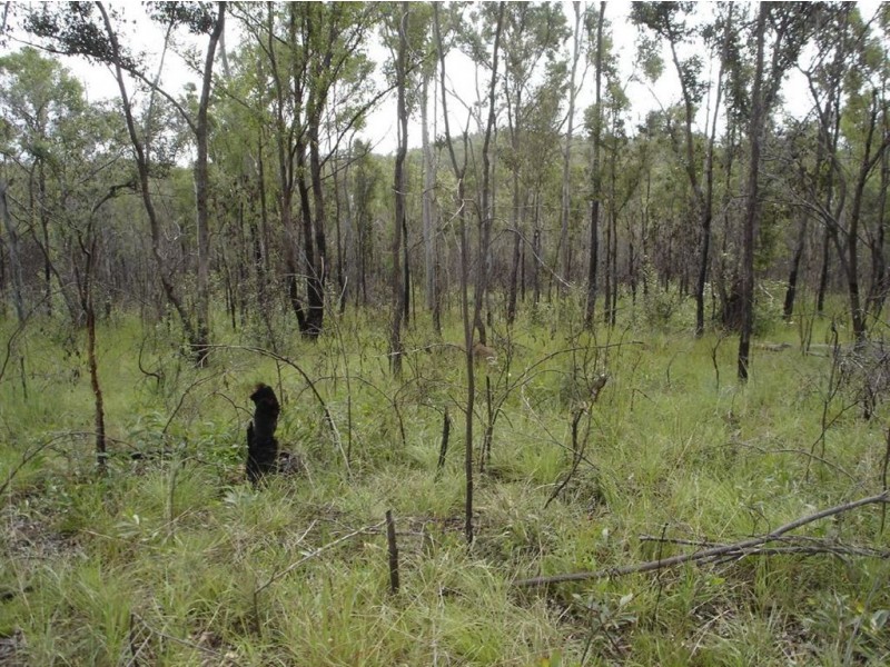 Lot 25 Tableland Road, Mount Maria QLD 4674