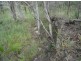 Lot 25 Tableland Road, Mount Maria QLD 4674