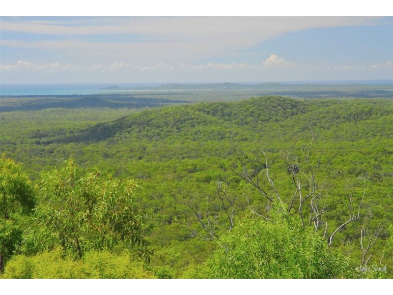 LOT 92 AVOCADO CRESCENT, Captain Creek QLD 4677