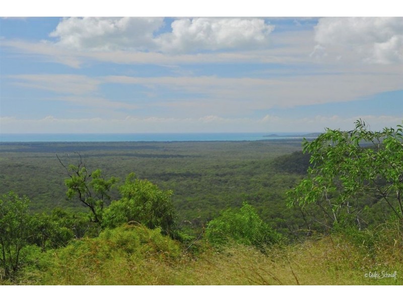 LOT 92 AVOCADO CRESCENT, Captain Creek QLD 4677