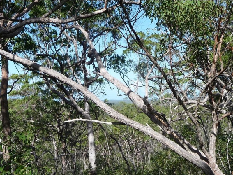 Lot 42 Bunker Road, Agnes Water QLD 4677