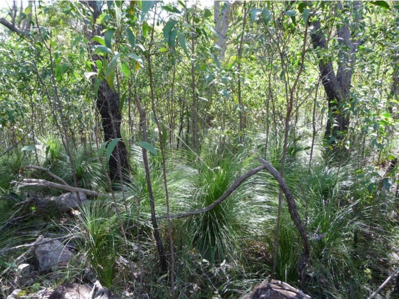 Lot 42 Bunker Road, Agnes Water QLD 4677