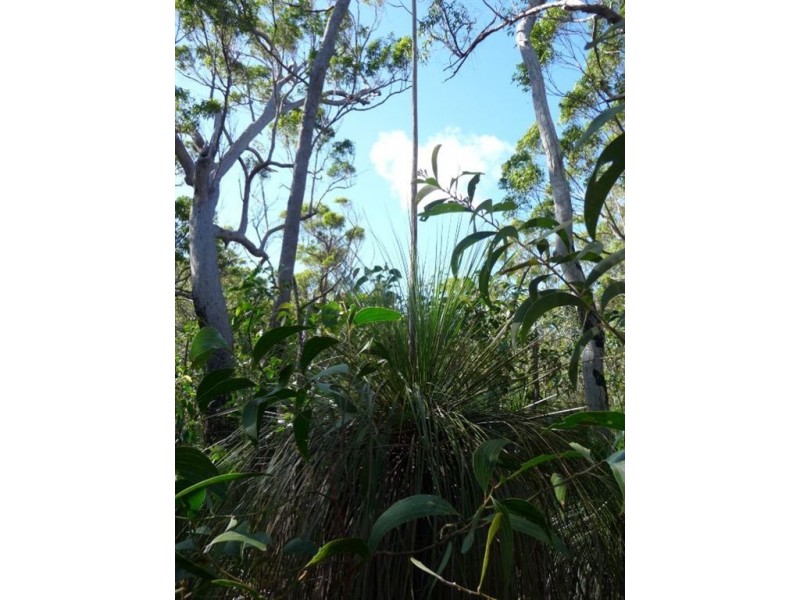 Lot 42 Bunker Road, Agnes Water QLD 4677