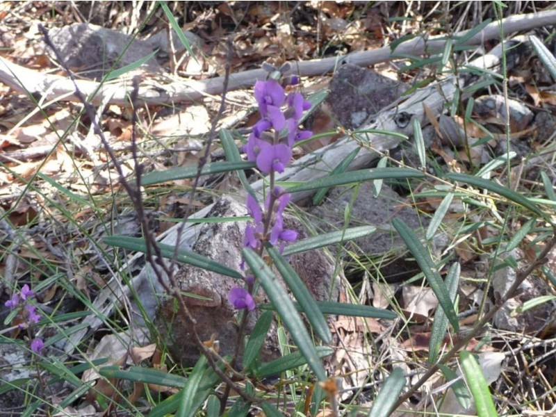 Lot 42 Bunker Road, Agnes Water QLD 4677