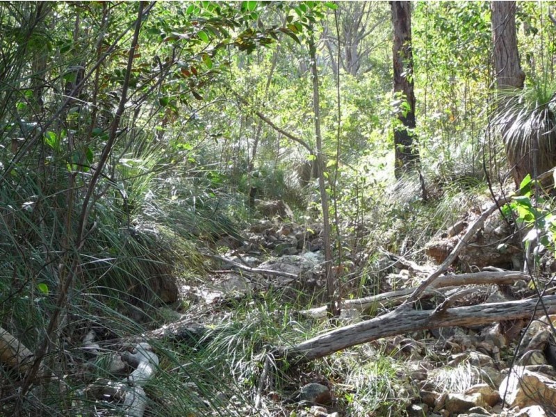 Lot 42 Bunker Road, Agnes Water QLD 4677