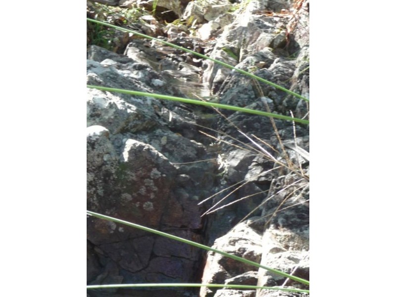 Lot 42 Bunker Road, Agnes Water QLD 4677