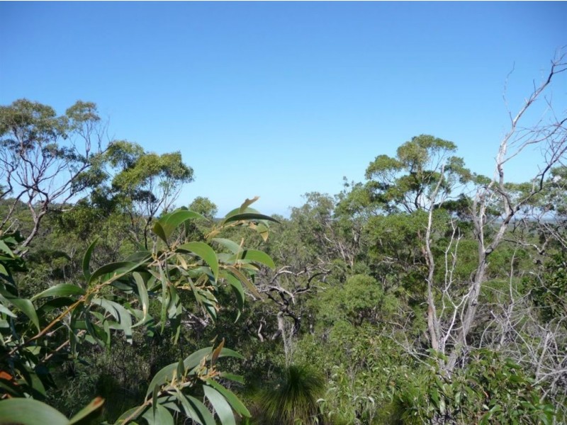 Lot 42 Bunker Road, Agnes Water QLD 4677