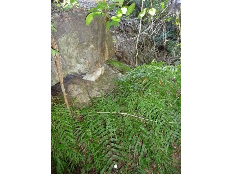 Lot 42 Bunker Road, Agnes Water QLD 4677