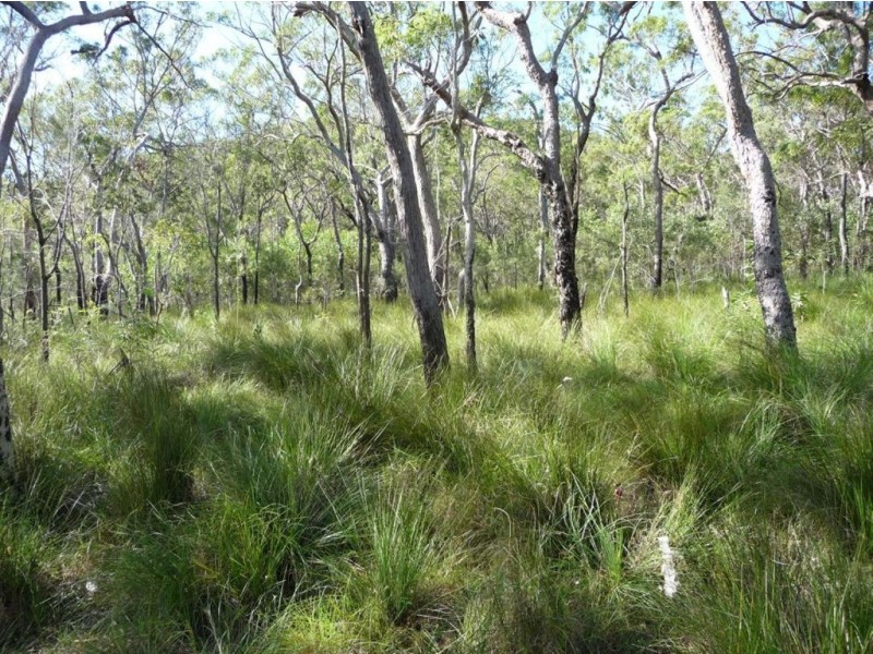 Lot 42 Bunker Road, Agnes Water QLD 4677