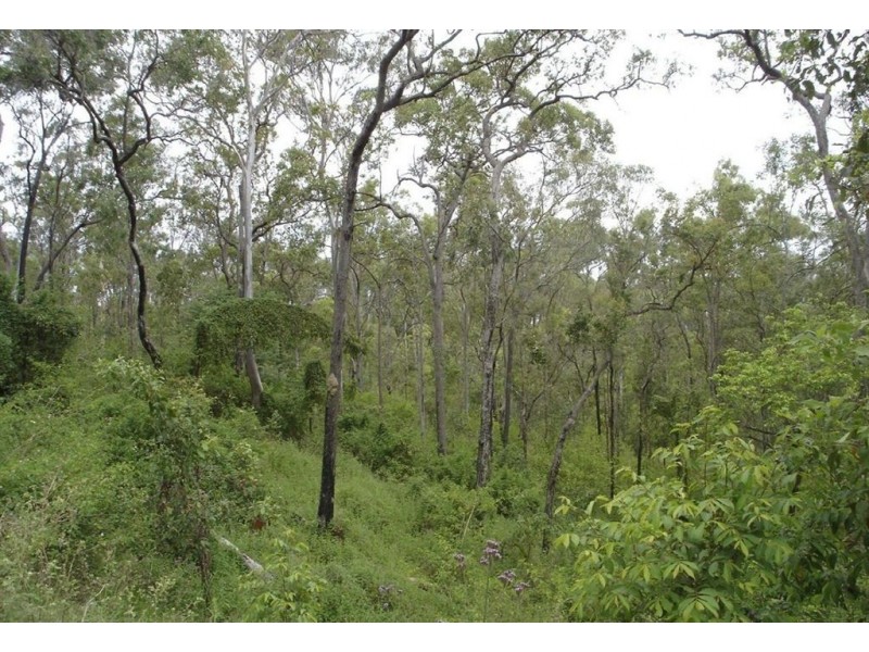 Lot 3 John Clifford Way, Lowmead QLD 4676