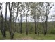 Lot 3 John Clifford Way, Lowmead QLD 4676