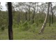 Lot 3 John Clifford Way, Lowmead QLD 4676