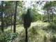 Lot 139 Josefski Road, Agnes Water QLD 4677