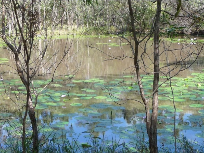Lot 139 Josefski Road, Agnes Water QLD 4677