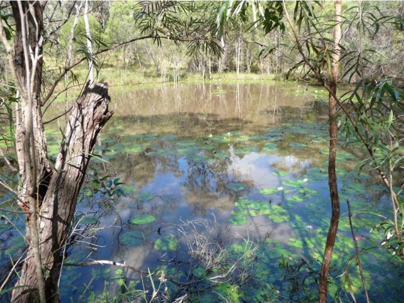 Lot 139 Josefski Road, Agnes Water QLD 4677