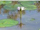 Lot 139 Josefski Road, Agnes Water QLD 4677