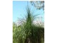 Lot 139 Josefski Road, Agnes Water QLD 4677