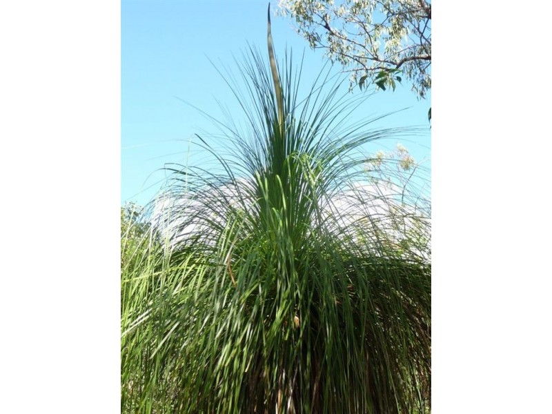 Lot 139 Josefski Road, Agnes Water QLD 4677