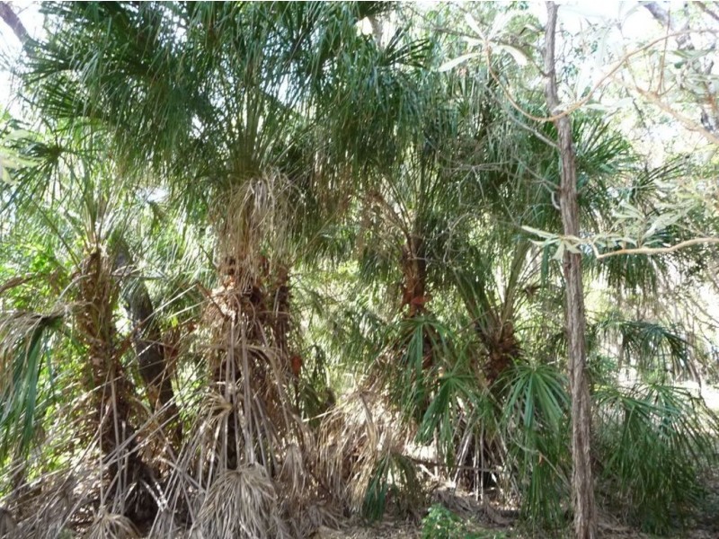 LOT 33 SPRINGS ROAD, Agnes Water QLD 4677