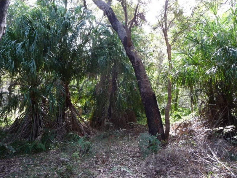 LOT 33 SPRINGS ROAD, Agnes Water QLD 4677