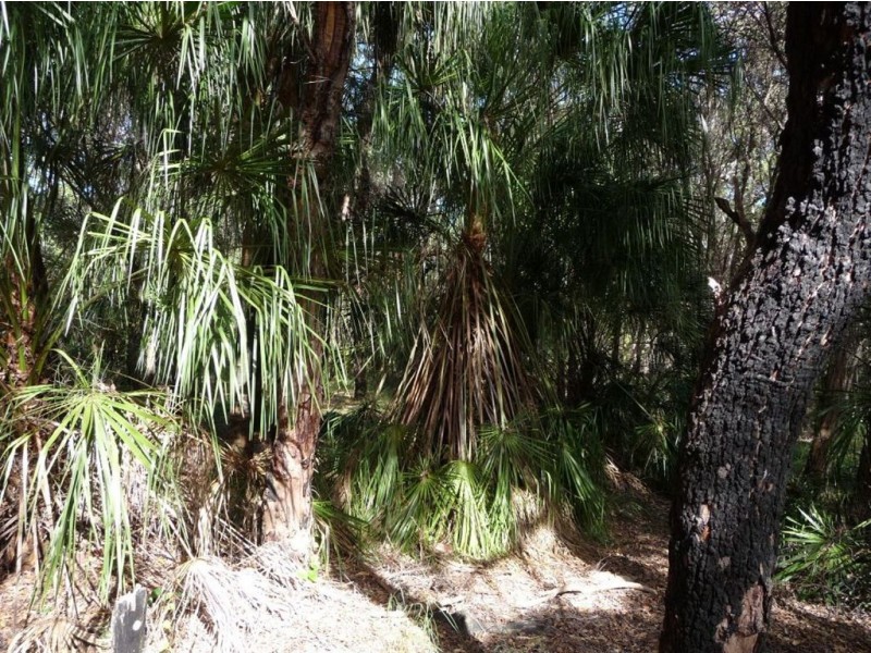 LOT 33 SPRINGS ROAD, Agnes Water QLD 4677