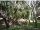 LOT 33 SPRINGS ROAD, Agnes Water QLD 4677