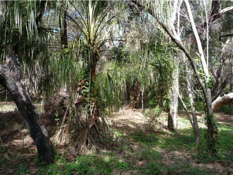 LOT 33 SPRINGS ROAD, Agnes Water QLD 4677