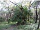 LOT 33 SPRINGS ROAD, Agnes Water QLD 4677