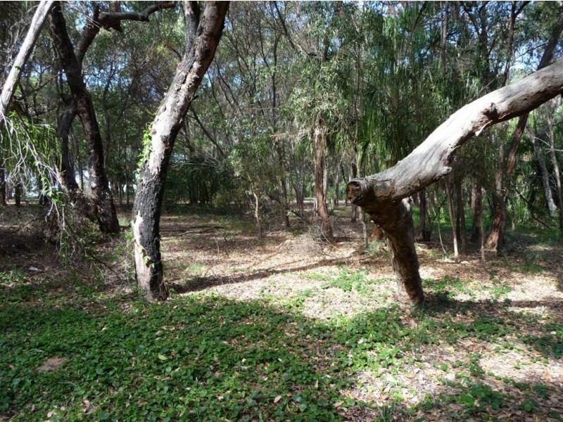 LOT 33 SPRINGS ROAD, Agnes Water QLD 4677