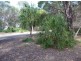 LOT 33 SPRINGS ROAD, Agnes Water QLD 4677