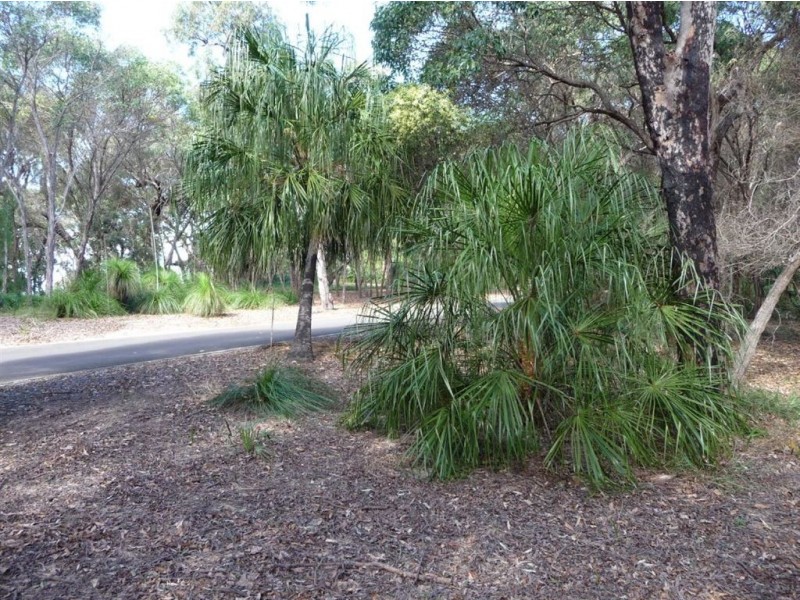 LOT 33 SPRINGS ROAD, Agnes Water QLD 4677