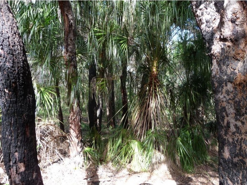 LOT 33 SPRINGS ROAD, Agnes Water QLD 4677