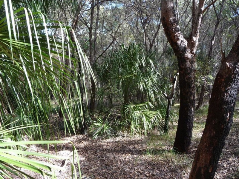 LOT 33 SPRINGS ROAD, Agnes Water QLD 4677