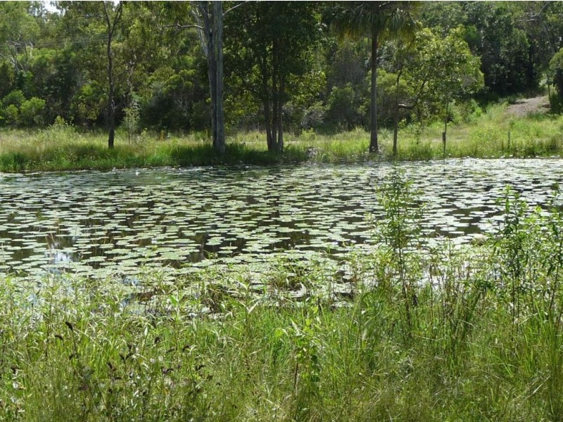 173 Rafting Ground Road, Agnes Water QLD 4677