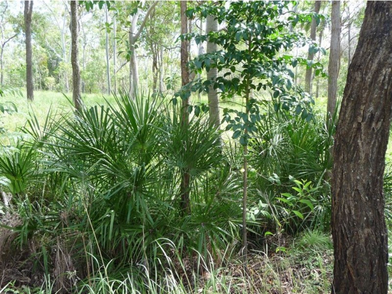 173 Rafting Ground Road, Agnes Water QLD 4677