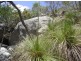 Lot 155 Capricornia Drive, Deepwater QLD 4674