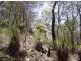 Lot 155 Capricornia Drive, Deepwater QLD 4674