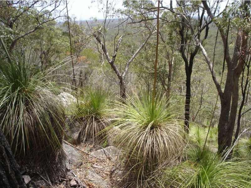 Lot 155 Capricornia Drive, Deepwater QLD 4674