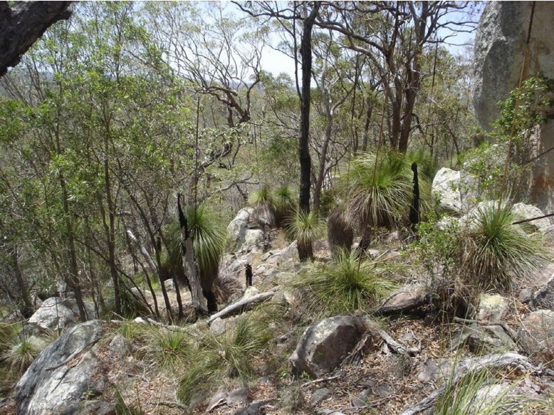 Lot 155 Capricornia Drive, Deepwater QLD 4674