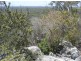 Lot 155 Capricornia Drive, Deepwater QLD 4674