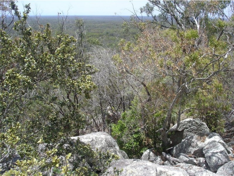 Lot 155 Capricornia Drive, Deepwater QLD 4674