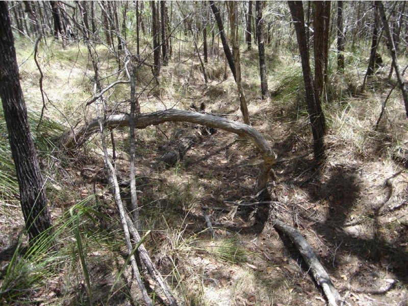 Lot 129 Seabreeze Court, Deepwater QLD 4674