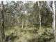 Lot 140 Capricornia Drive, Deepwater QLD 4674