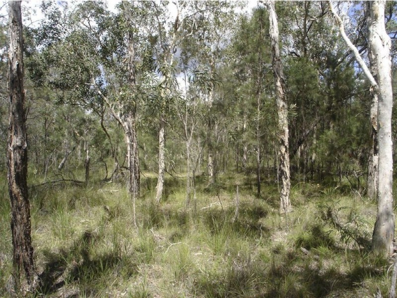 Lot 140 Capricornia Drive, Deepwater QLD 4674