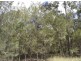 Lot 140 Capricornia Drive, Deepwater QLD 4674